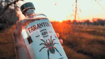 tarantola gin